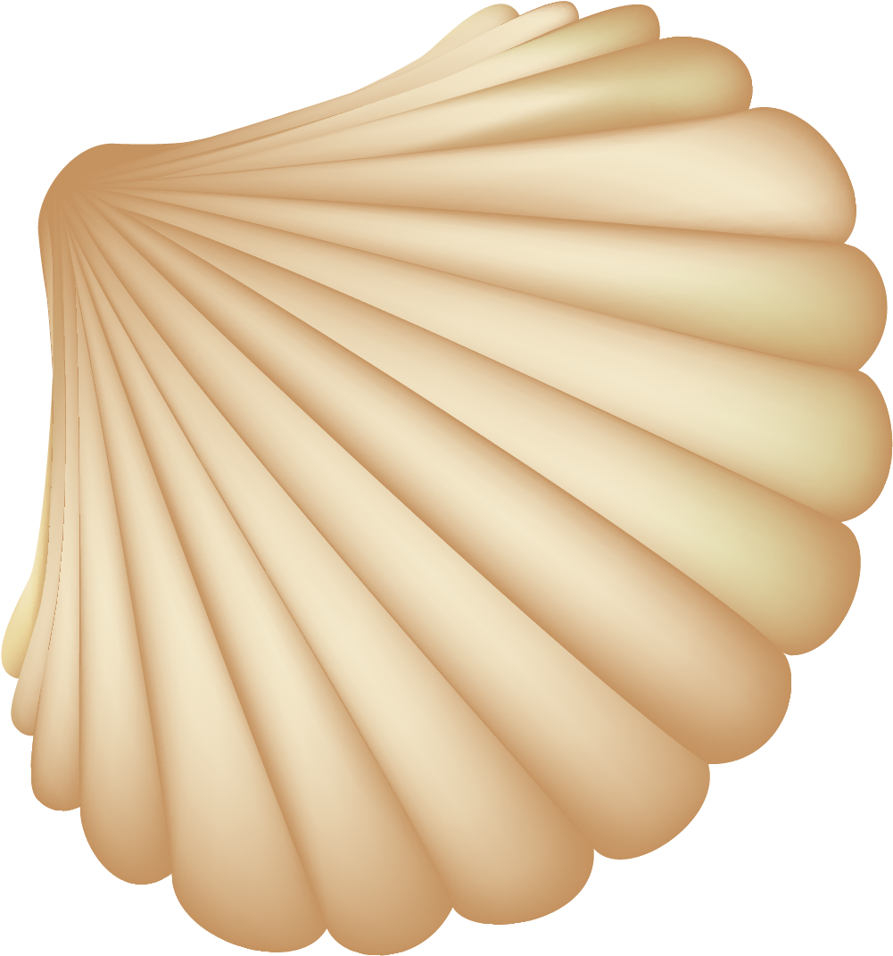 Congratulations! The PNG Image Has Been Downloaded (Seashell Computer ...