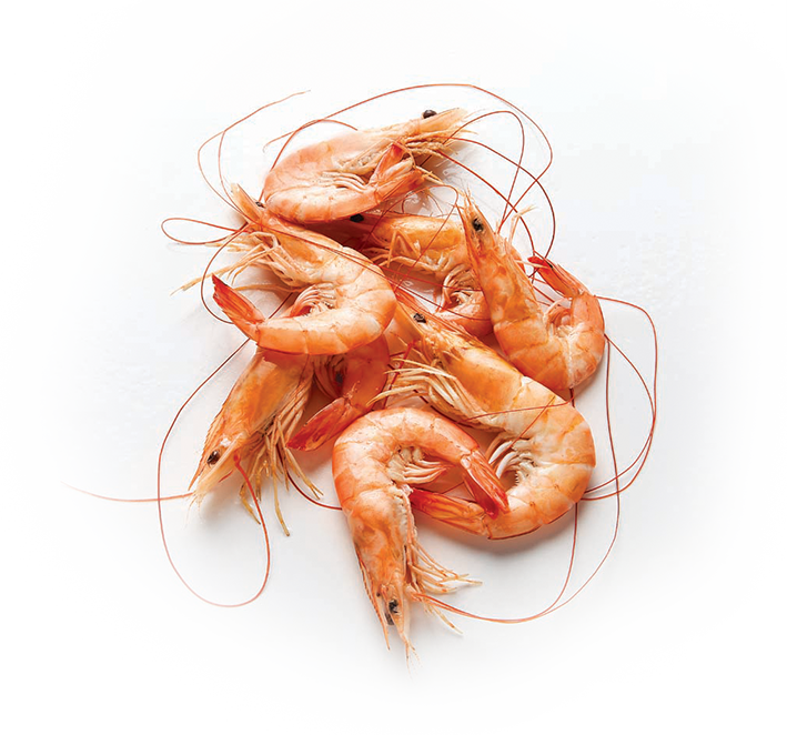 Congratulations! The PNG Image Has Been Downloaded (Shrimp Hd Png