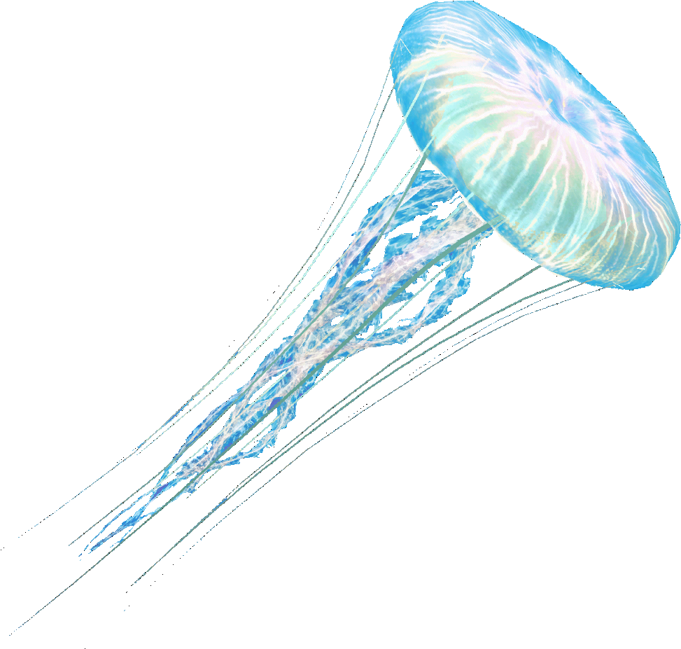 Congratulations! The PNG Image Has Been Downloaded (Jelly Fish Png