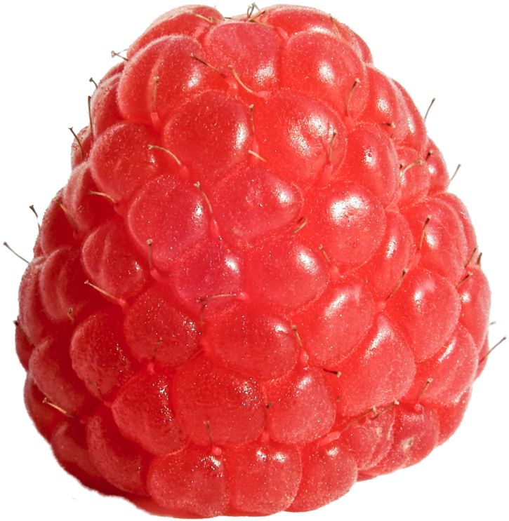 Congratulations! The PNG Image Has Been Downloaded (Raspberry Png ...