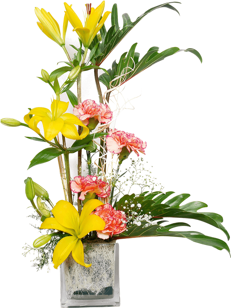 Congratulations! The PNG Image Has Been Downloaded (Transparent Flower