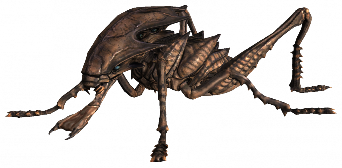 Congratulations! The PNG Image Has Been Downloaded (Transparent Hopper ...