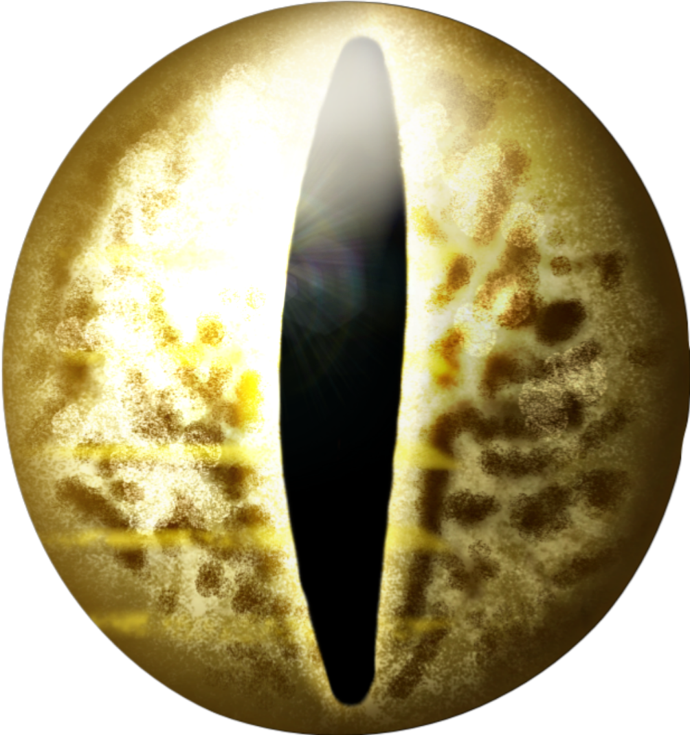 Congratulations! The PNG Image Has Been Downloaded (snakeeye snake 