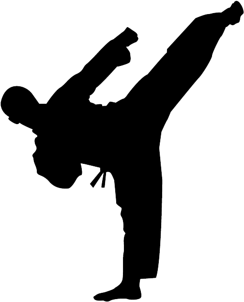 Congratulations! The PNG Image Has Been Downloaded (Karate Kick Png