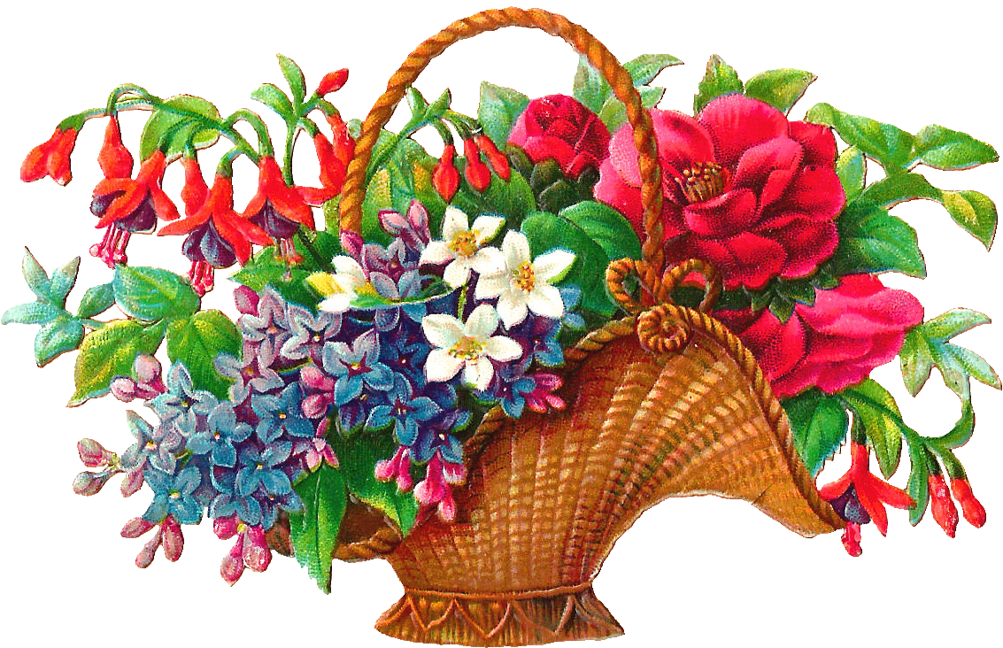 Congratulations! The PNG Image Has Been Downloaded (Welcome Flowers Png