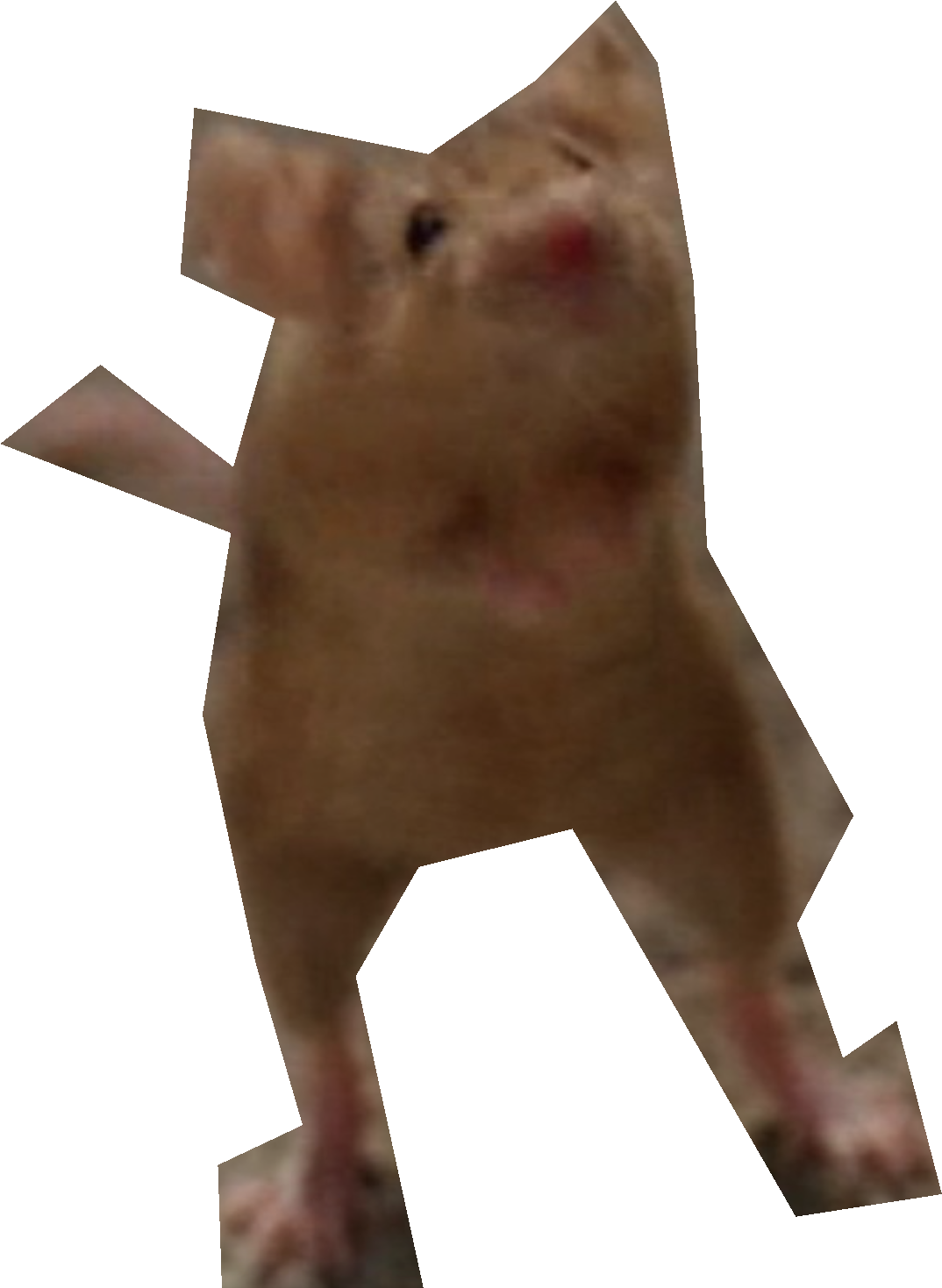 Congratulations! The PNG Image Has Been Downloaded (Nick Cannon Png