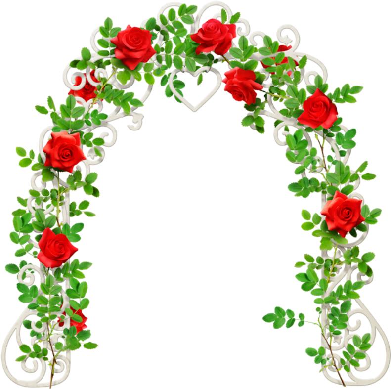 Congratulations! The PNG Image Has Been Downloaded (Peony Clipart