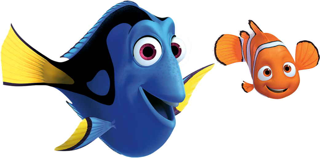 Congratulations! The PNG Image Has Been Downloaded (Nemo Png , Png ...