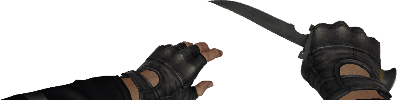 Congratulations! The PNG Image Has Been Downloaded (Counter-strike Wiki ...