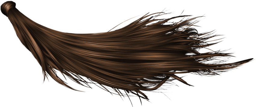 Congratulations! The PNG Image Has Been Downloaded (Hair Transparent