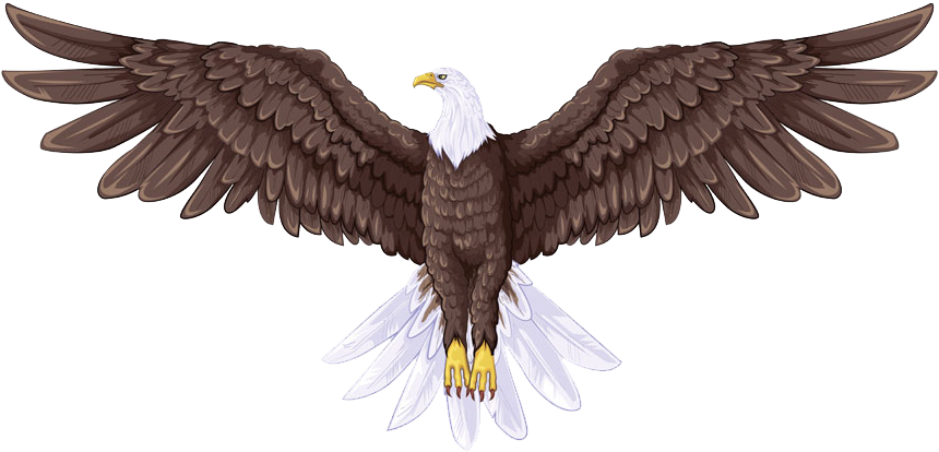 Congratulations! The PNG Image Has Been Downloaded (Bald Eagle Flight