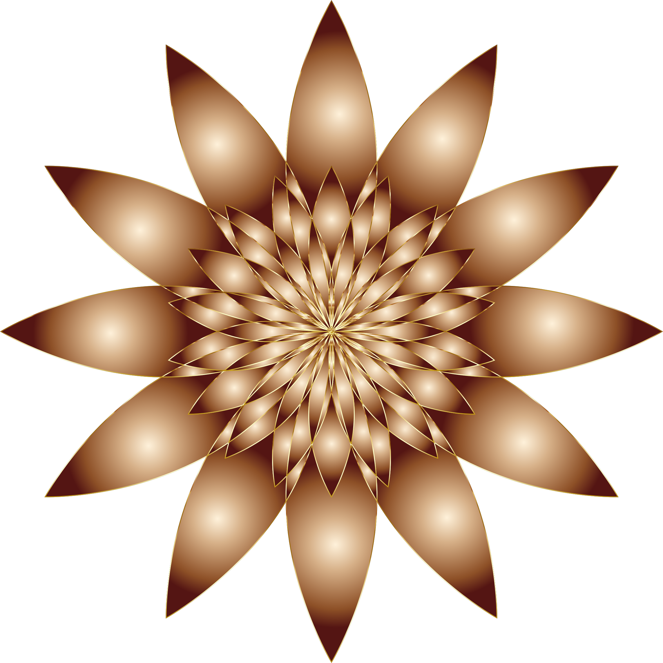 Congratulations! The PNG Image Has Been Downloaded (Petal,line,flower