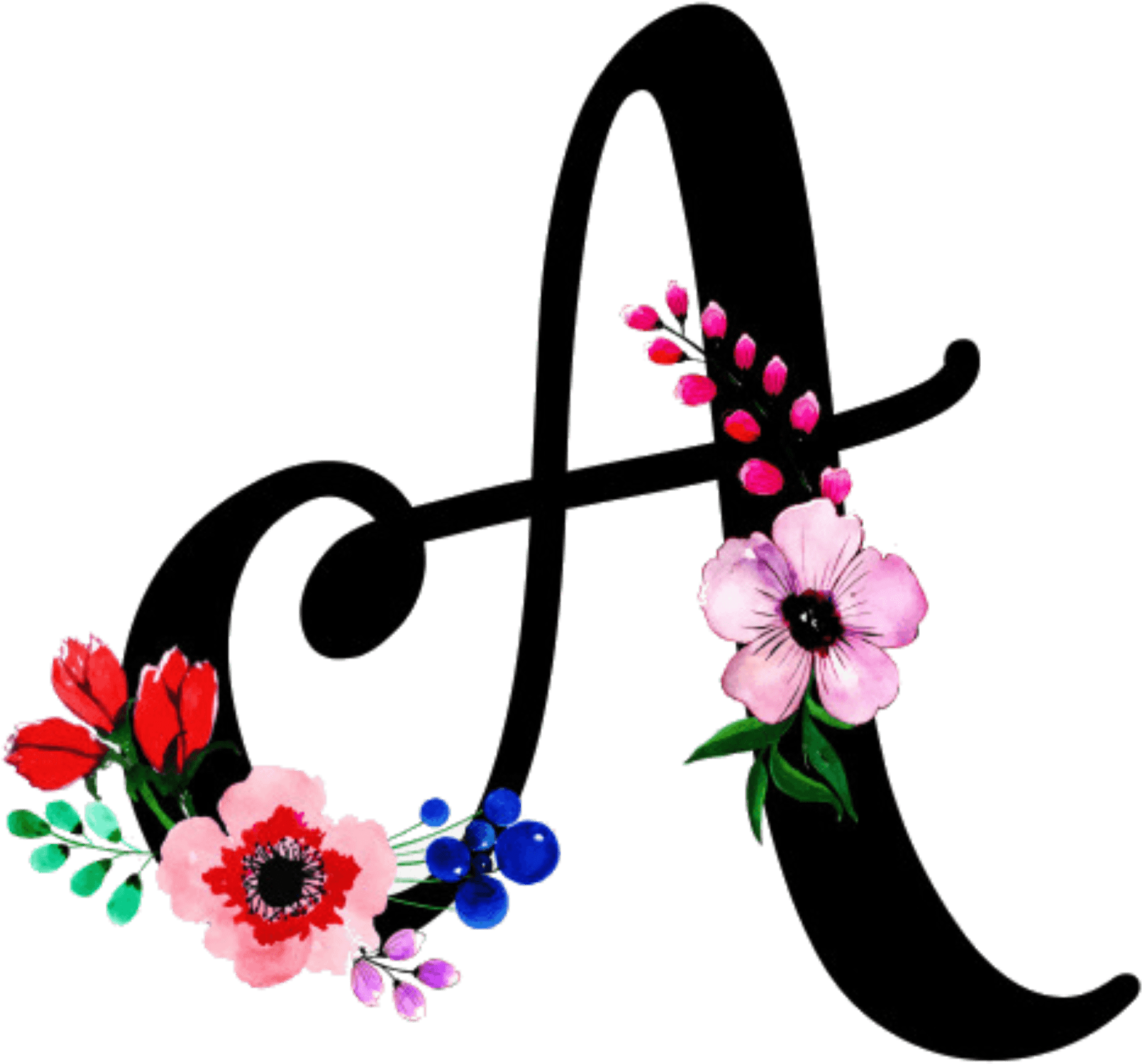 Congratulations! The PNG Image Has Been Downloaded (Anna › Floral A