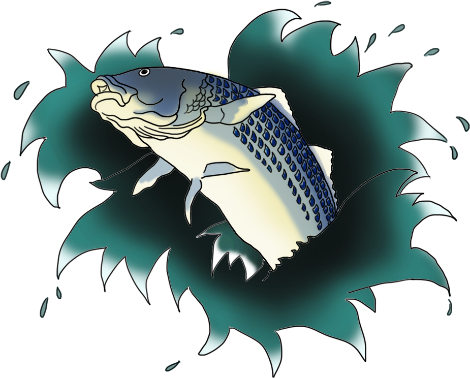 Congratulations! The PNG Image Has Been Downloaded (Transparent Fish Jumping Out Of Water