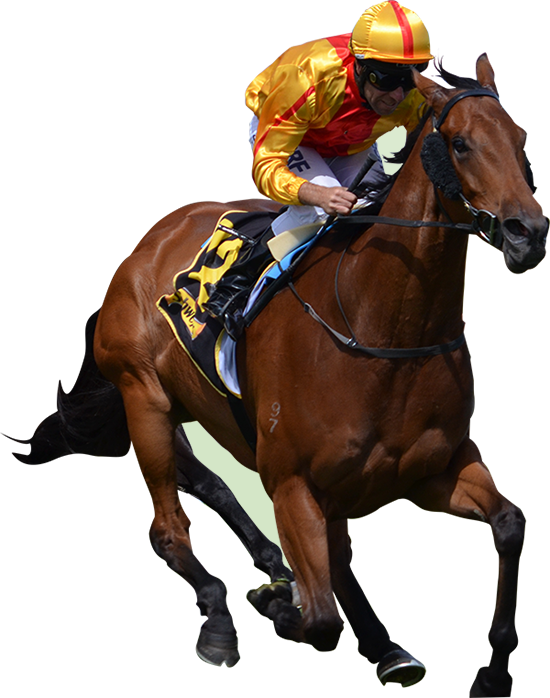 Congratulations! The PNG Image Has Been Downloaded (Race Horse Png