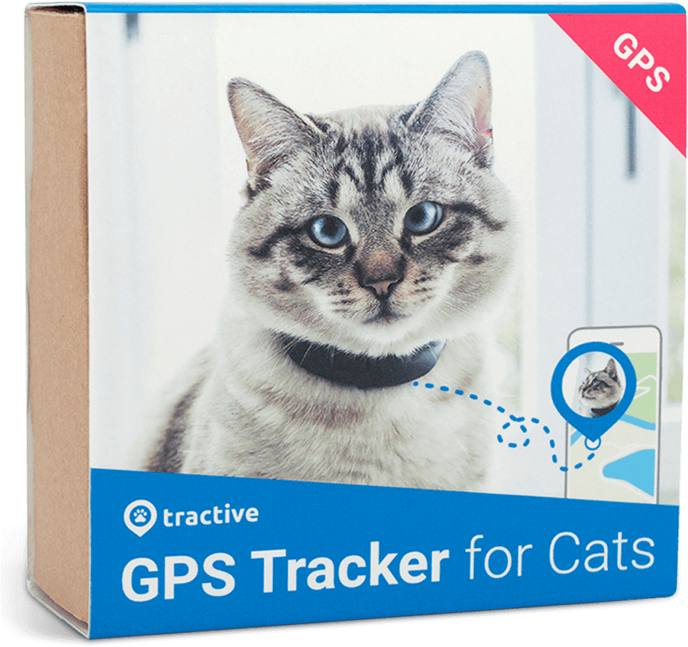 Congratulations! The PNG Image Has Been Downloaded (Cat Tracker, HD Png ...