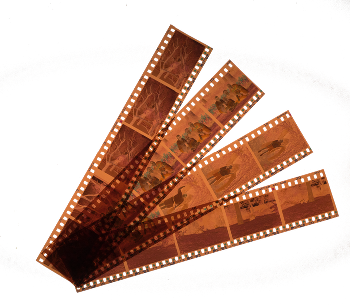 Congratulations! The PNG Image Has Been Downloaded (Scanning Of