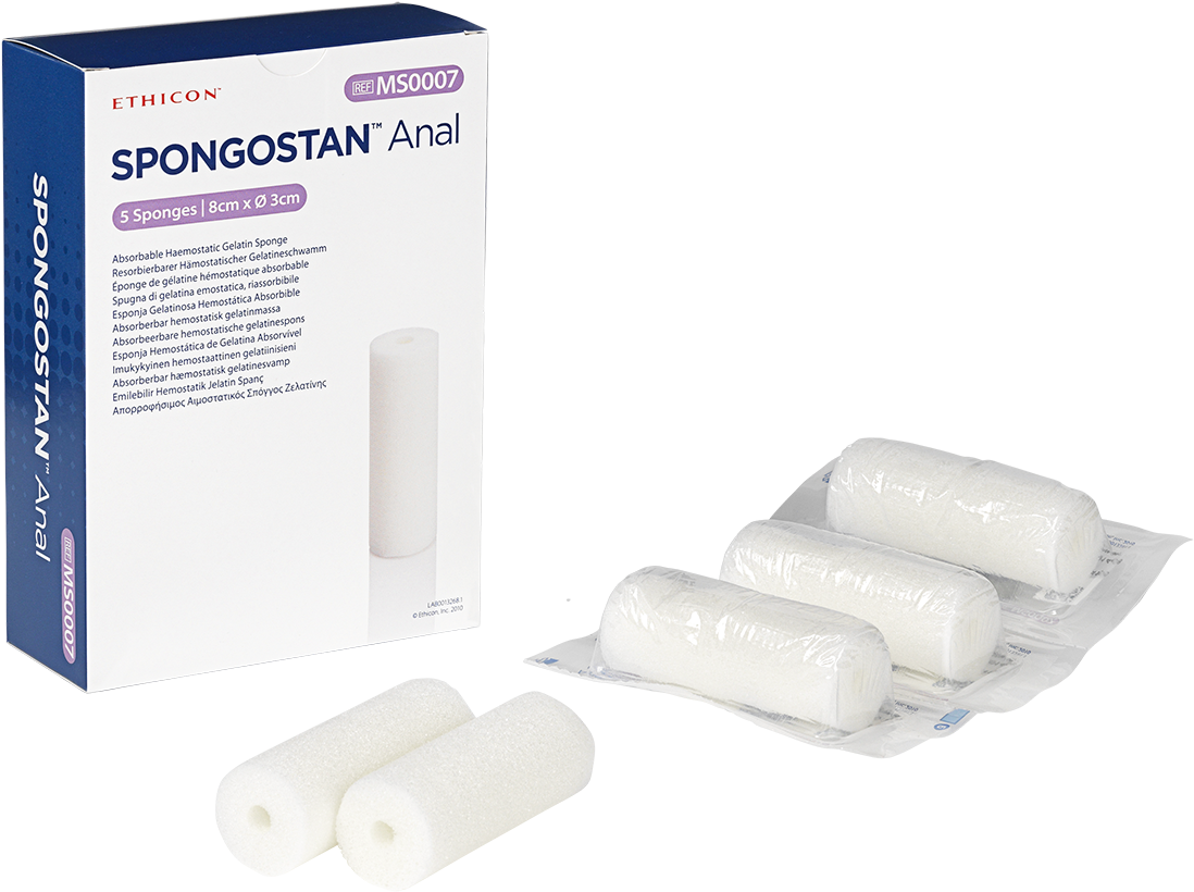 Congratulations! The PNG Image Has Been Downloaded (Spongostan