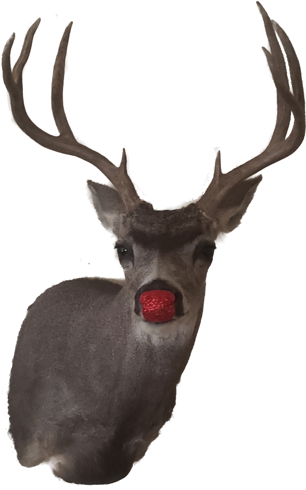 Congratulations! The PNG Image Has Been Downloaded (Rudolph Png ...