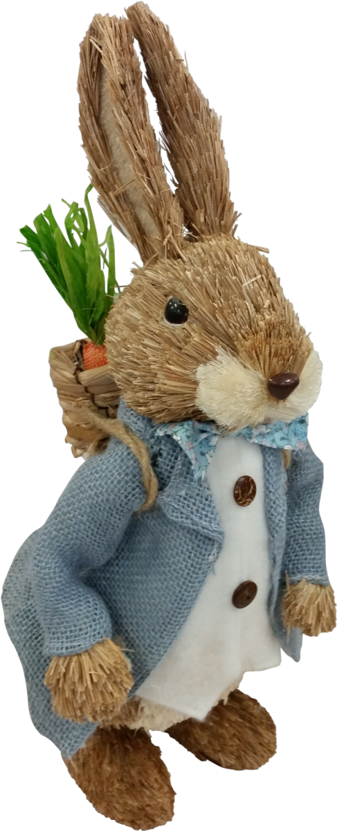 Congratulations! The PNG Image Has Been Downloaded (Carrots Png Peter ...