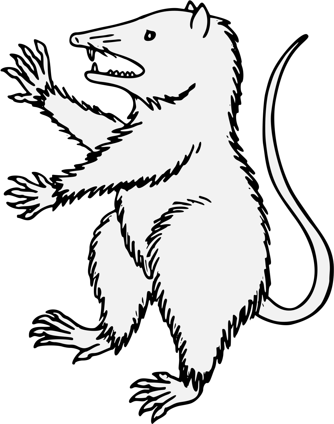 Congratulations! The PNG Image Has Been Downloaded (Opossum Png ...