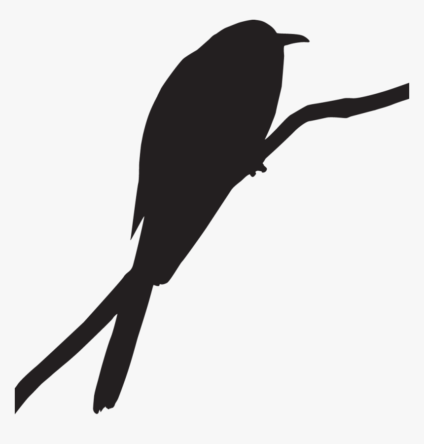 Road Runner Bird Png - Cuckoo Bird Png, Transparent Png