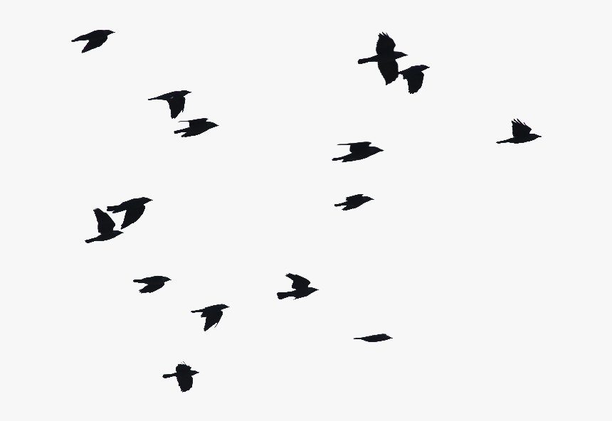 Clip Art Birds Flying Png Image - Birds Flying Silhouette Png, Transparent Png