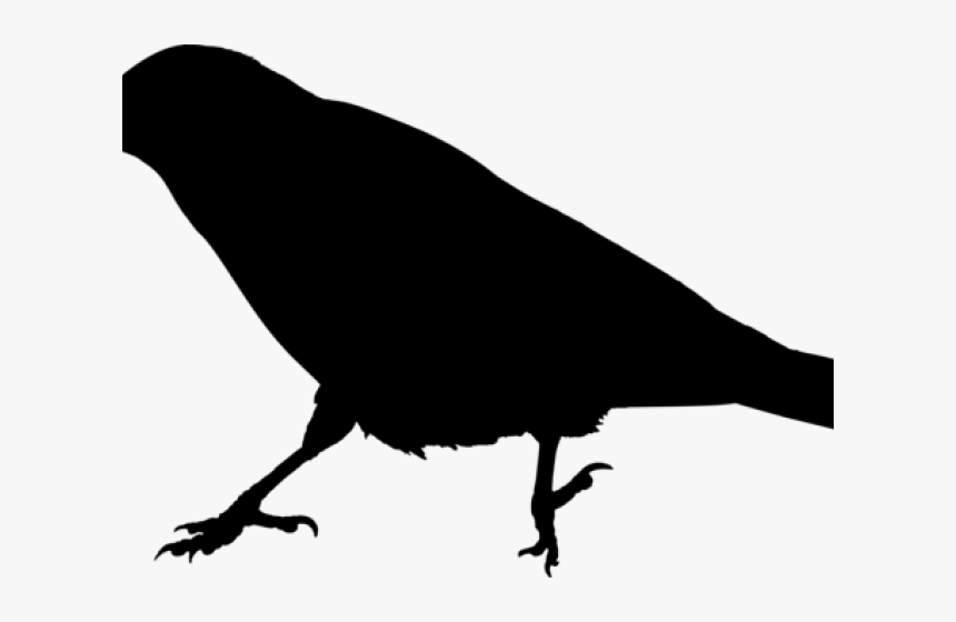 Raven Clipart Raven Bird - Crow Meaning In Hindi, HD Png Download