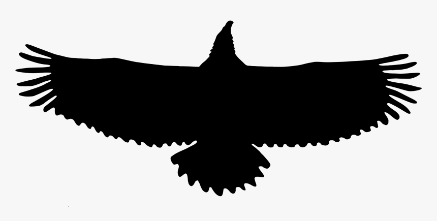 Eagle Silhouette Png, Transparent Png
