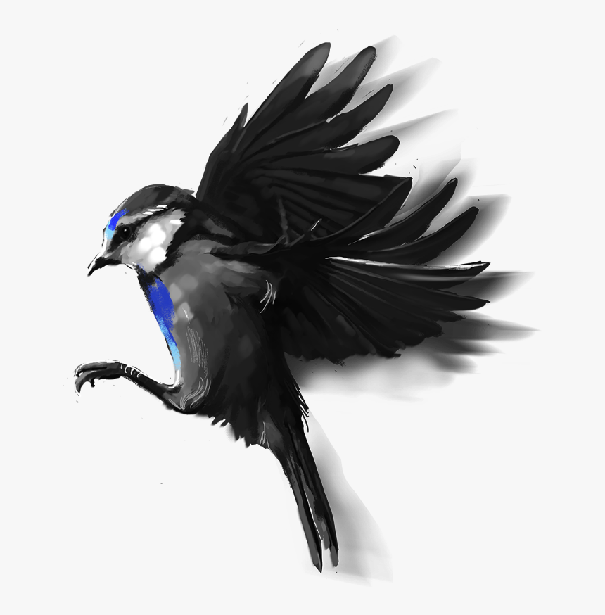 Swallow, HD Png Download