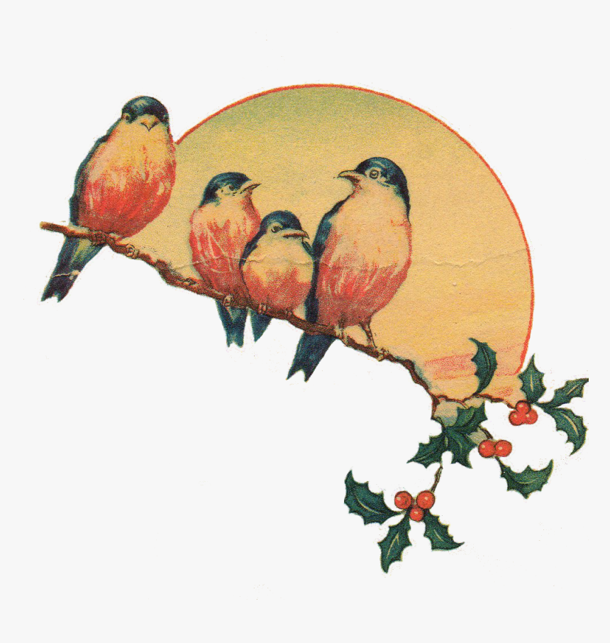 Download Png Image - Transparent Vintage Clip Art, Png Download