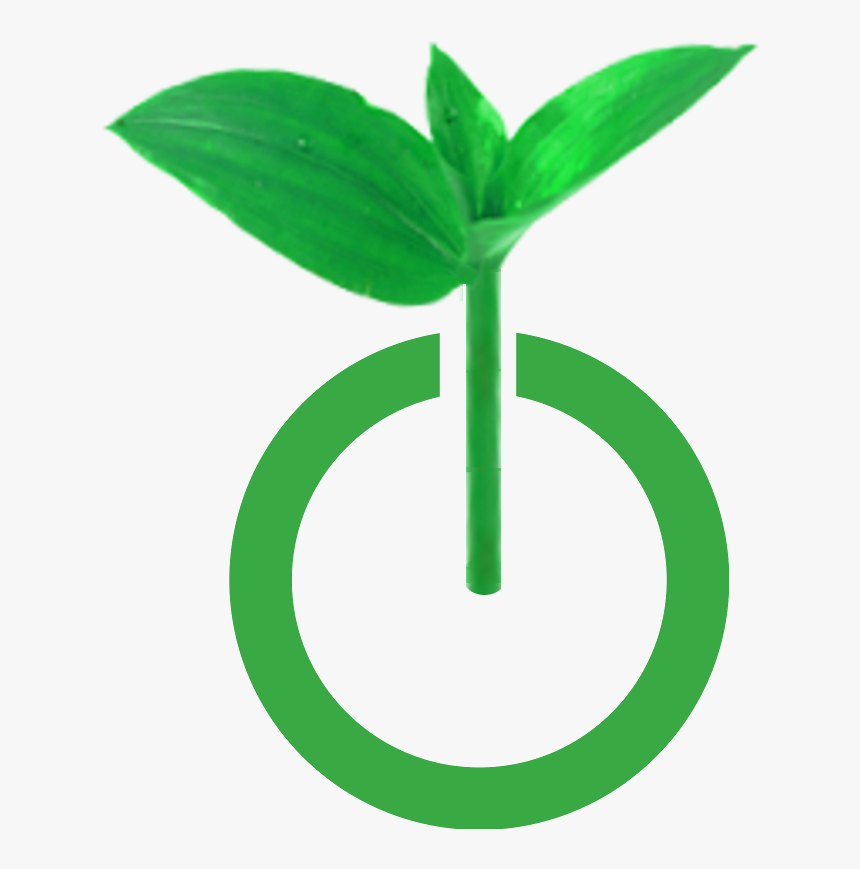 Graphic Design, HD Png Download