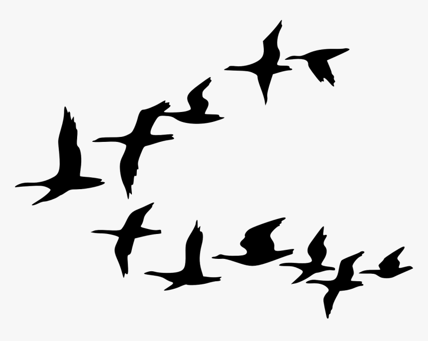 Birds Silhouette Png -silhouette Birds Black Flying - Flock Of Birds Clipart, Transparent Png