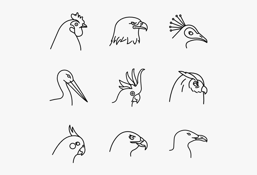 Birds Species - Sketch, HD Png Download