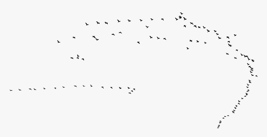 Swarm Of Birds Silhouette Clip Arts - Flock, HD Png Download