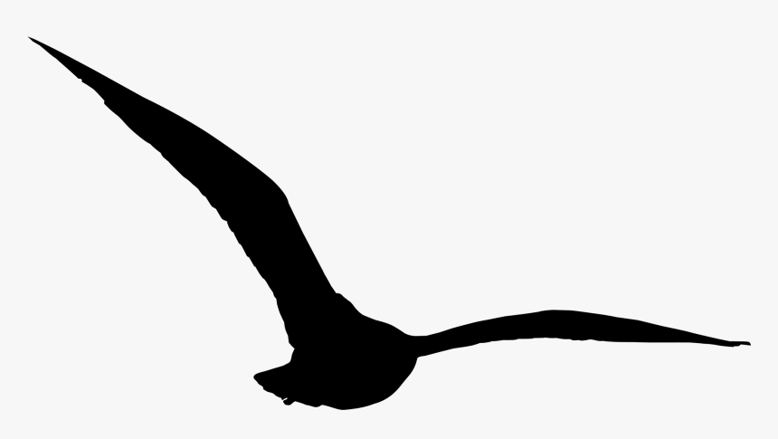 Images In Collection Page - Transparent Bird Flying Silhouette Png, Png Download