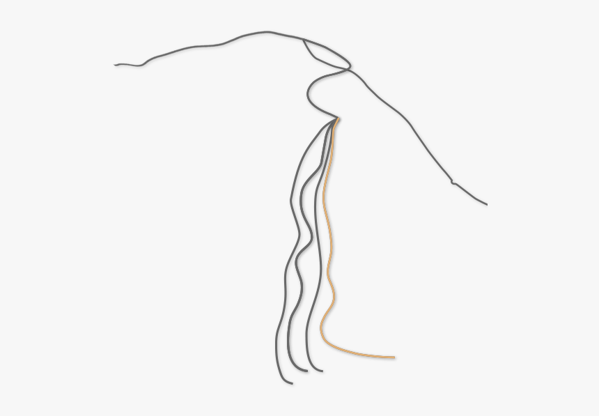 Sketch, HD Png Download