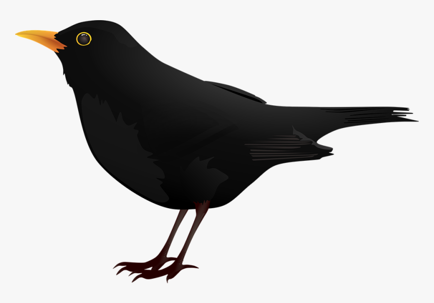 Blackbird Clip Art - Dairy Icon, HD Png Download