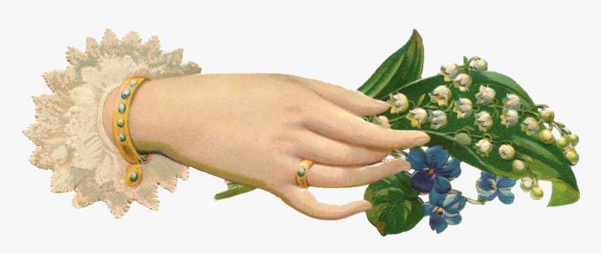 Transparent Lily Of The Valley Clipart - Victorian Hand Holding Flower, HD Png Download