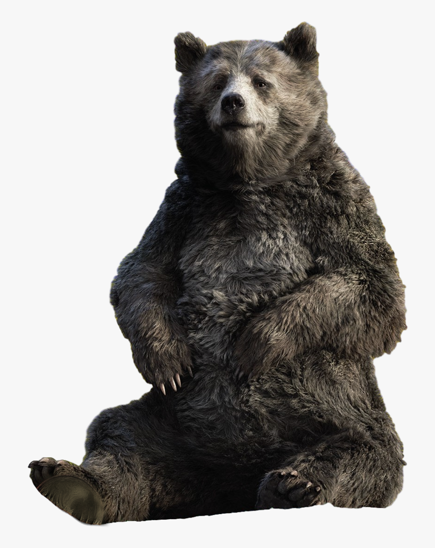 Transparent Baloo Png - Live Action Baloo Jungle Book, Png Download