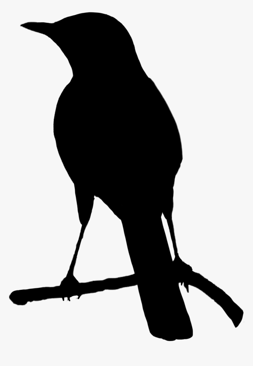 White Birds Png - Bird Black And White Png, Transparent Png