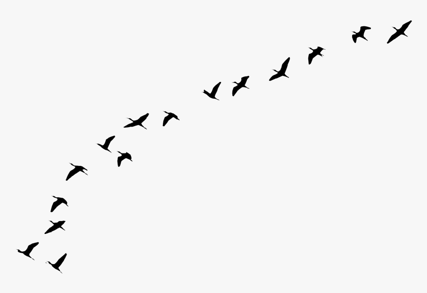 Flying Birds Tattoo - Portable Network Graphics, HD Png Download