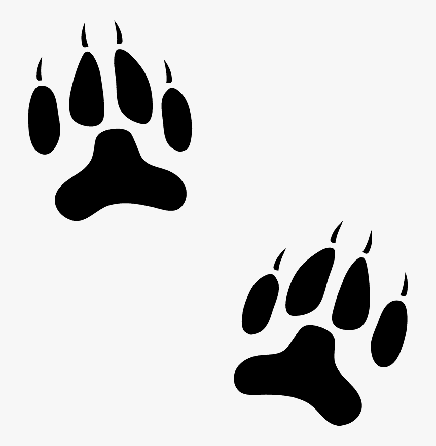 Dog, HD Png Download