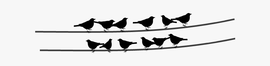 Black And White Bird Png, Transparent Png