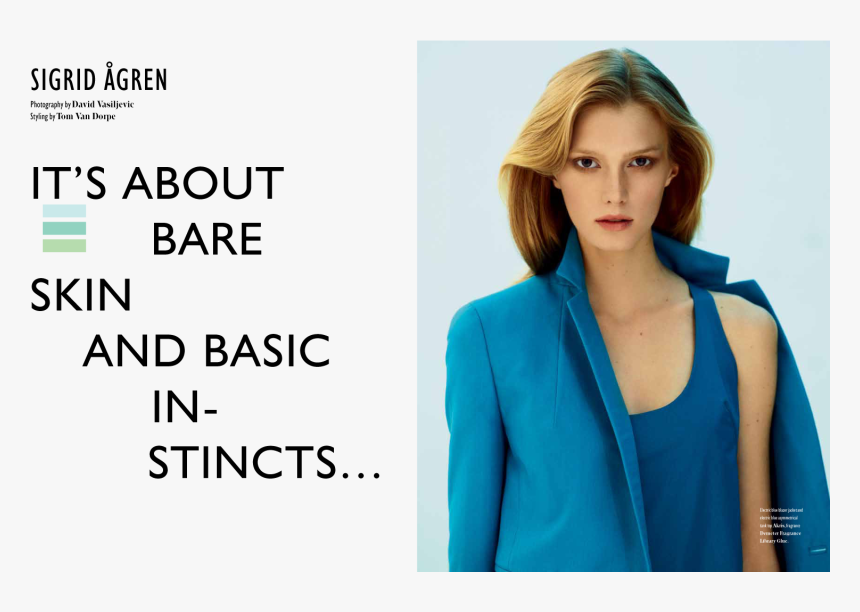 Transparent Michelle Trachtenberg Png - Photo Shoot, Png Download