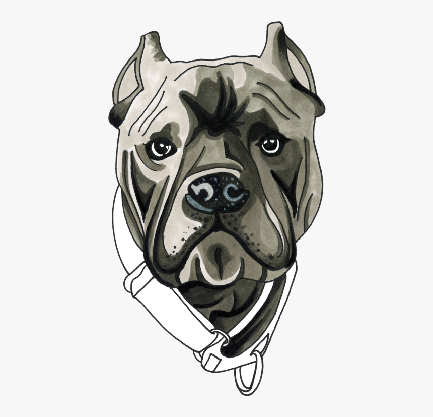 Baloo S Chews - Canis Panther, HD Png Download