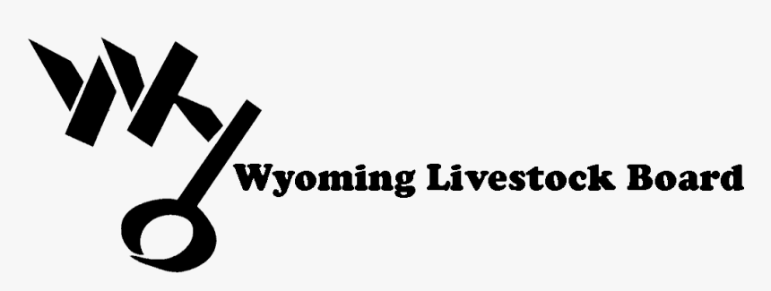 Calligraphy, HD Png Download