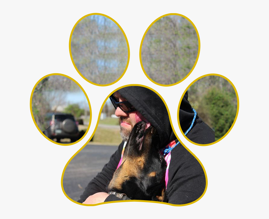 Companion Dog, HD Png Download