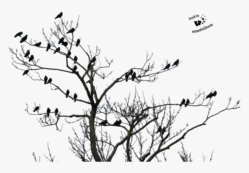 Tree With Bird Clip Art Stock - Good Evening Happy Sunday, HD Png Download