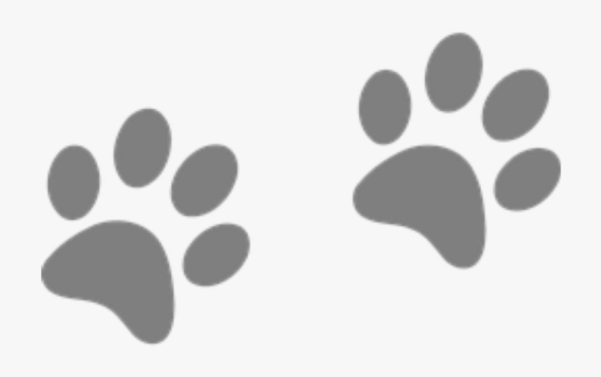 #dog #dogs #prints #footprints #paws #paw #pawprints - Orange And Blue Paw Print, HD Png Download